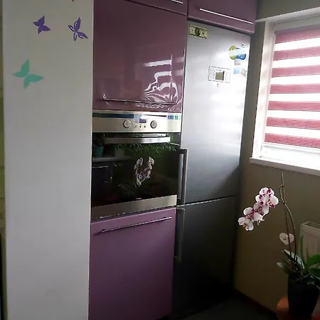 Apartment Svetlana *